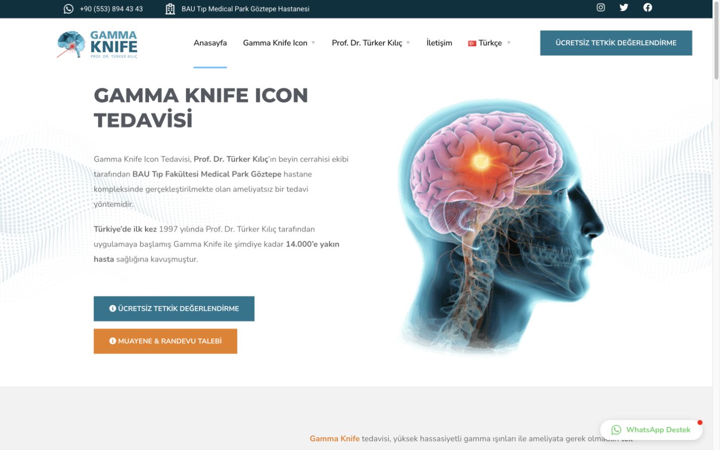 Gamma Knife treatment website homepage